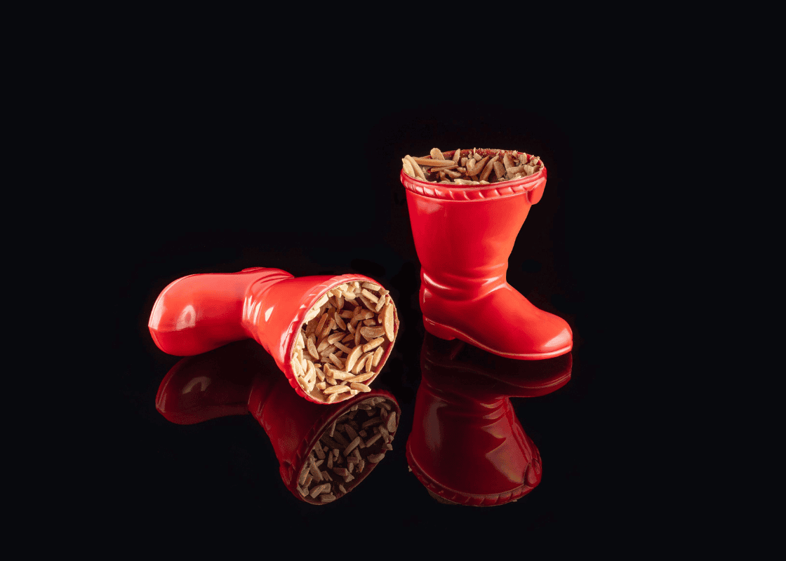 Nikolaus Stiefel